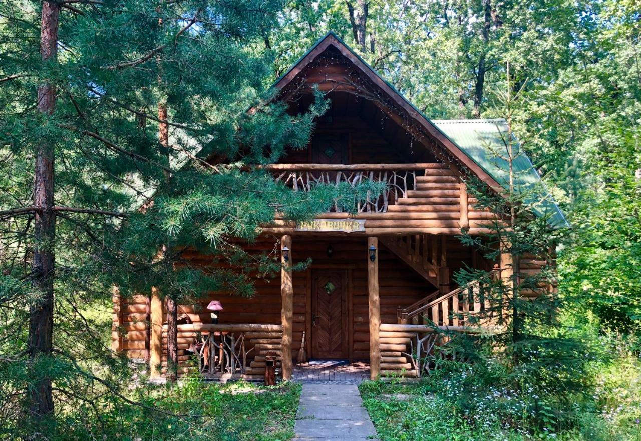 Lisotel Rokytne  Exterior foto